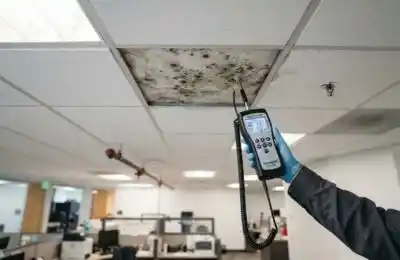 Mold Complaints in Fairfax Office Buildings: What Employers Must Do