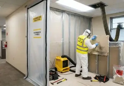 Commercial mold remediation in Fairfax VA
